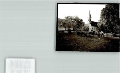 39605017 - 8267 Oberhofen horses pasture photo original from archive of one
