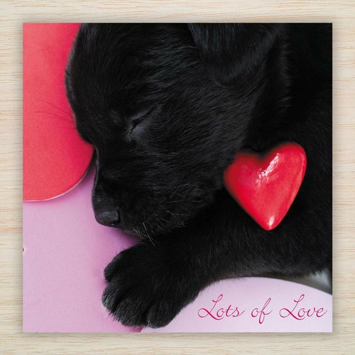 Tarjetas de Cumpleaños - Labrador & Retriever Perros Cachorros Lotes Diseños para Ver - FREEPOST - Imagen 18 de 34