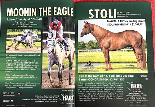 2018 SPEEDHORSE Quarter Horse Racing, journal book - JOHNNY DIAL Article + Pix! - Picture 19 of 24
