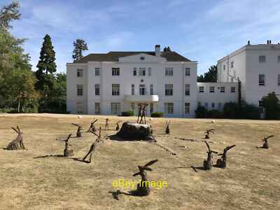 Foto 6x4 Ein Parlament der Hasen in der Nähe des Weißen Hauses auf dem Beaumont Esta c2018