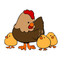 Hen and Chicks Vintage of RI