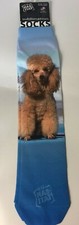 Poodle Wild Habitat Sublimation Socks One Size Fits Most Adult