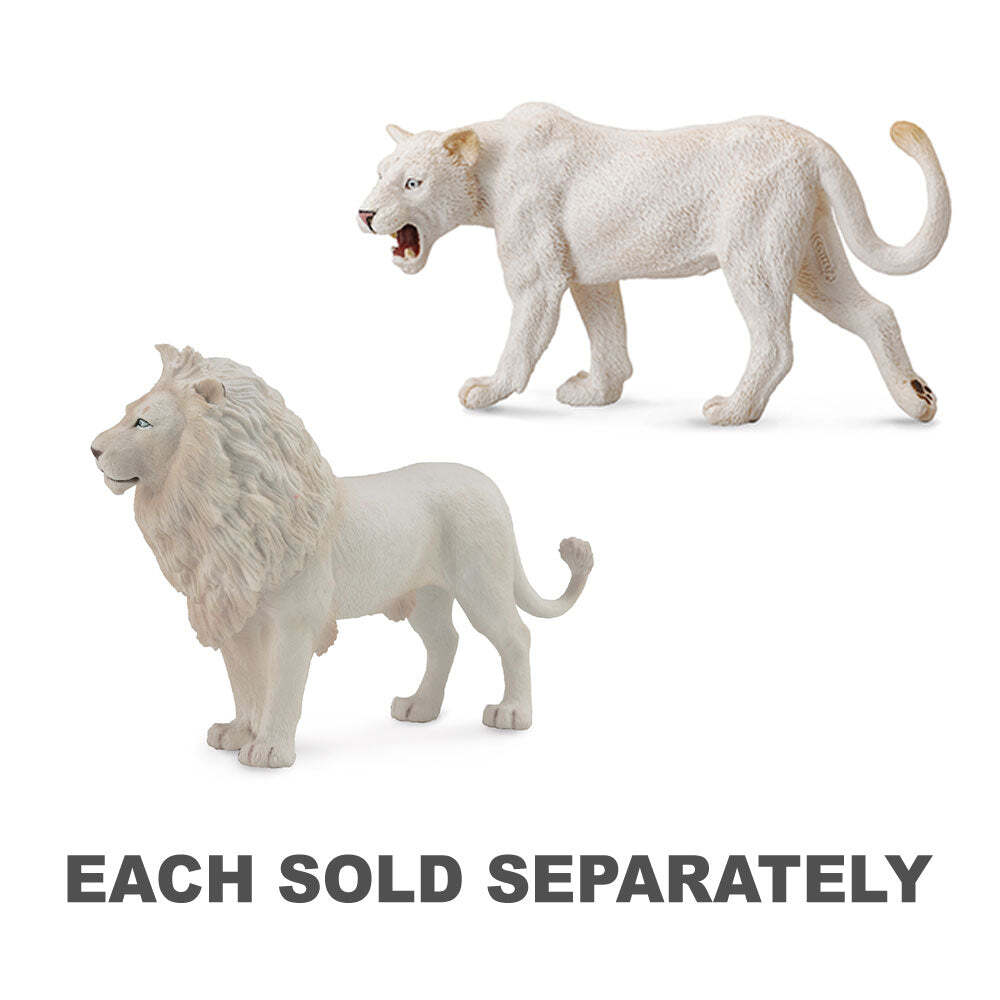 Collcta ホワイトライオン仔2 i8my1cf CollectA Realistic Animal Replica White Lion Figure Large