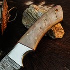 9.0" Bushcraft Camping Damascus Handmade Full Tang Sheep Horn Handle + Sheath — photo 3