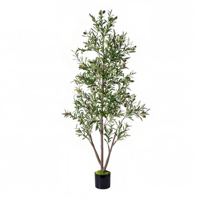 NOVAROOT 6FT Tall Olive Trees Artificial Indoor Faux Natural Wood Trunk Lifeli