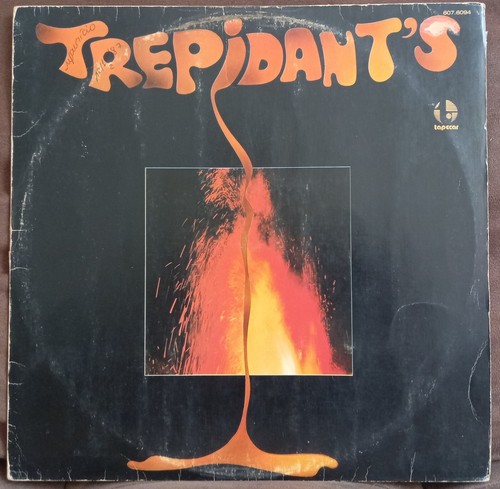 TREPIDANT'S LP ST 79' DISCO FUNK GROOVE BRAZIL VG VICENT JR. tarantulas black ri