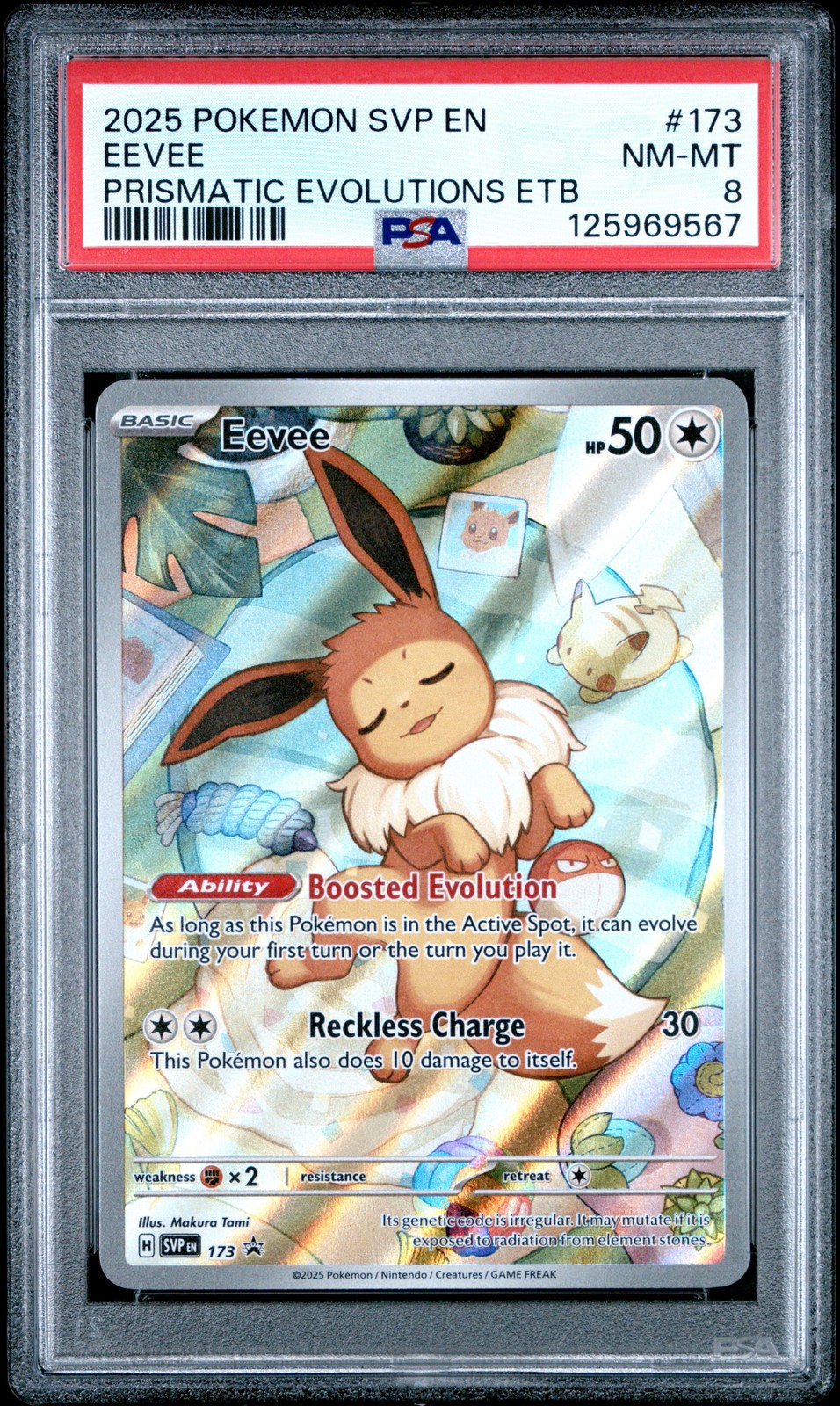 2025 POKEMON SVP EN-SV BLACK STAR PROMO #173 EEVEE PSA 8