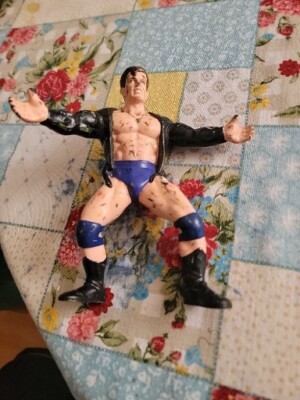 WCW』フィギュア WCW Sting Wolfpack Smash 'N Slam Loose Wrestling