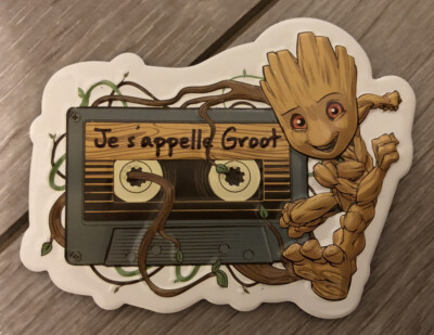 Magnet / Aimant / Iman / Magnete Nachricht GROOT Disneyland Paris