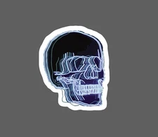 Skull Sticker Florescent Light Waterproof Bones Neon Gift NEW