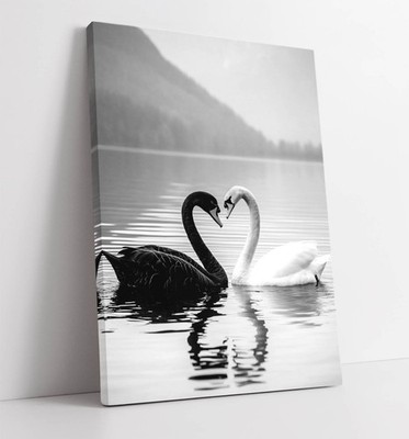 SCHWARZWEISSER SCHWAN MACHT EIN HERZ - GERAHMTES LEINWANDBILD WANDBILD BILD DRUCK