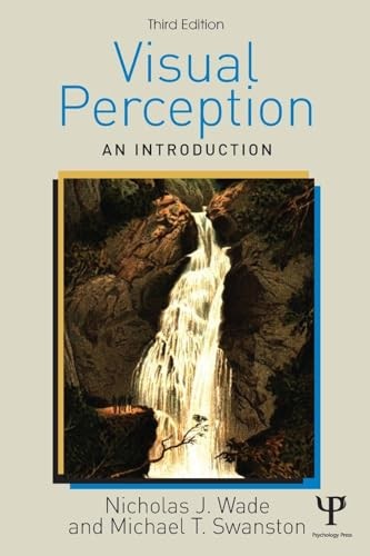 Visual Perception - Image 4