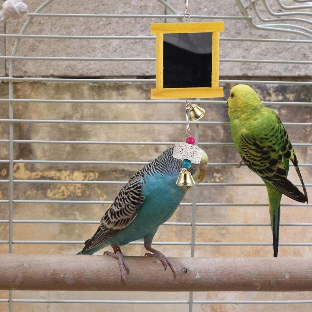 Cockatiel hot sale chew toys