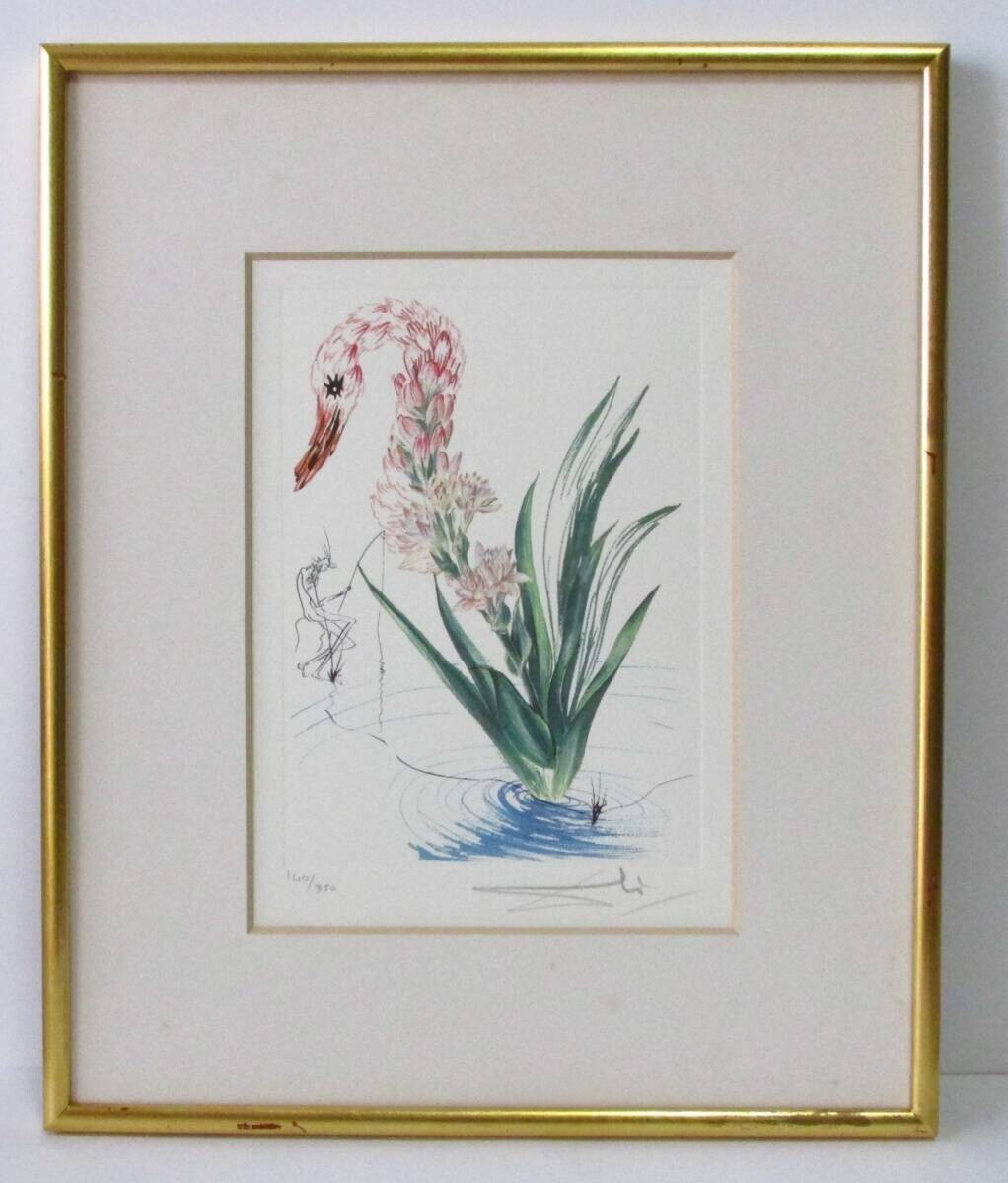 Salvador Dali Signed Original Lithograph 1972 - Florals Water