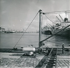 LE HAVRE c. 1950 - Les Bateaux au Port" Seine-Maritine - Div 5411