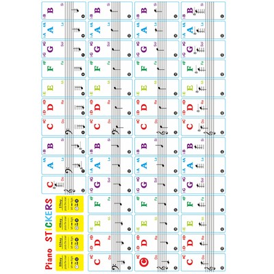 15.5 x40MM Piano Learning Music Keyboard Sticker 37/49/61/88 Key Note Removable