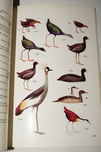 EAST AFRICAN BIRDS GUGGISBERG OISEAUX AFRIQUE DE L'EST 1980 KENYA ENGRAVING - Picture 3 of 4