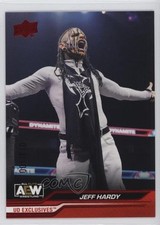 2024 Upper Deck AEW All Elite Wrestling Exclusives 13/100 Jeff Hardy #66 18dh