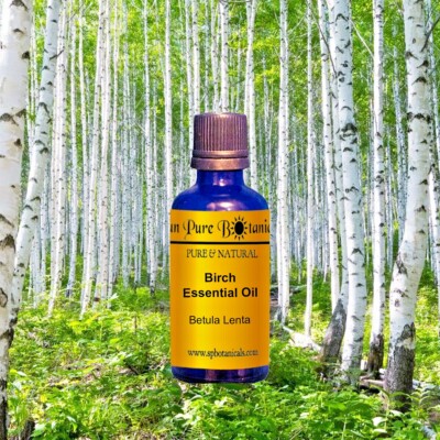 Best Birch Essential Oil · 100% Pure & Natural! · Therapeutic Grade · 2oz Glass