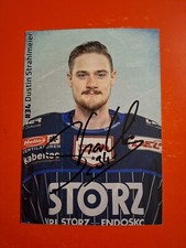 Dustin Strahlmeier SERC - Schwenninger Wild Wings
