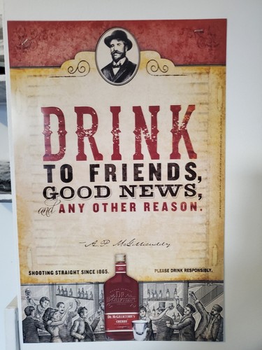 6 Dr. Mcgillicuddy's Promotional One Liner Bar Posters 12x16 liquor man cave gift - Imagen 3 de 6
