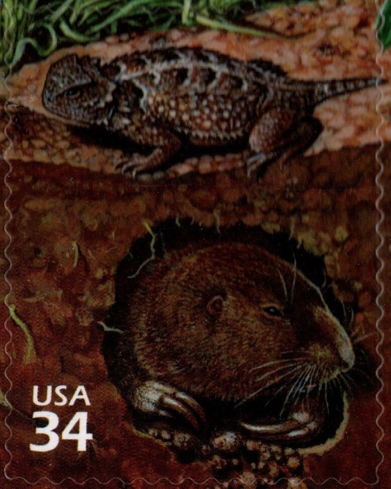 Picture 6 of 13
