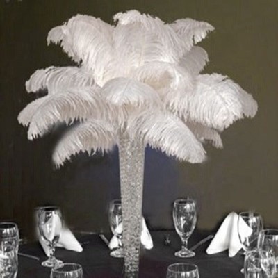 Ostrich Feathers Plumes 10 Pack 12-14 Inch White Wedding Centerpiece Decoration