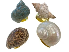 Turnwald Set 4 Asst Sea Shell Turbo MOP Napkin Ring Nautical Beach Decor Hostess