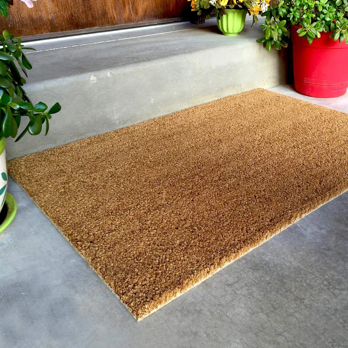 Diamonds Indoor/outdoor Coir Doormat Natural/black - Entryways