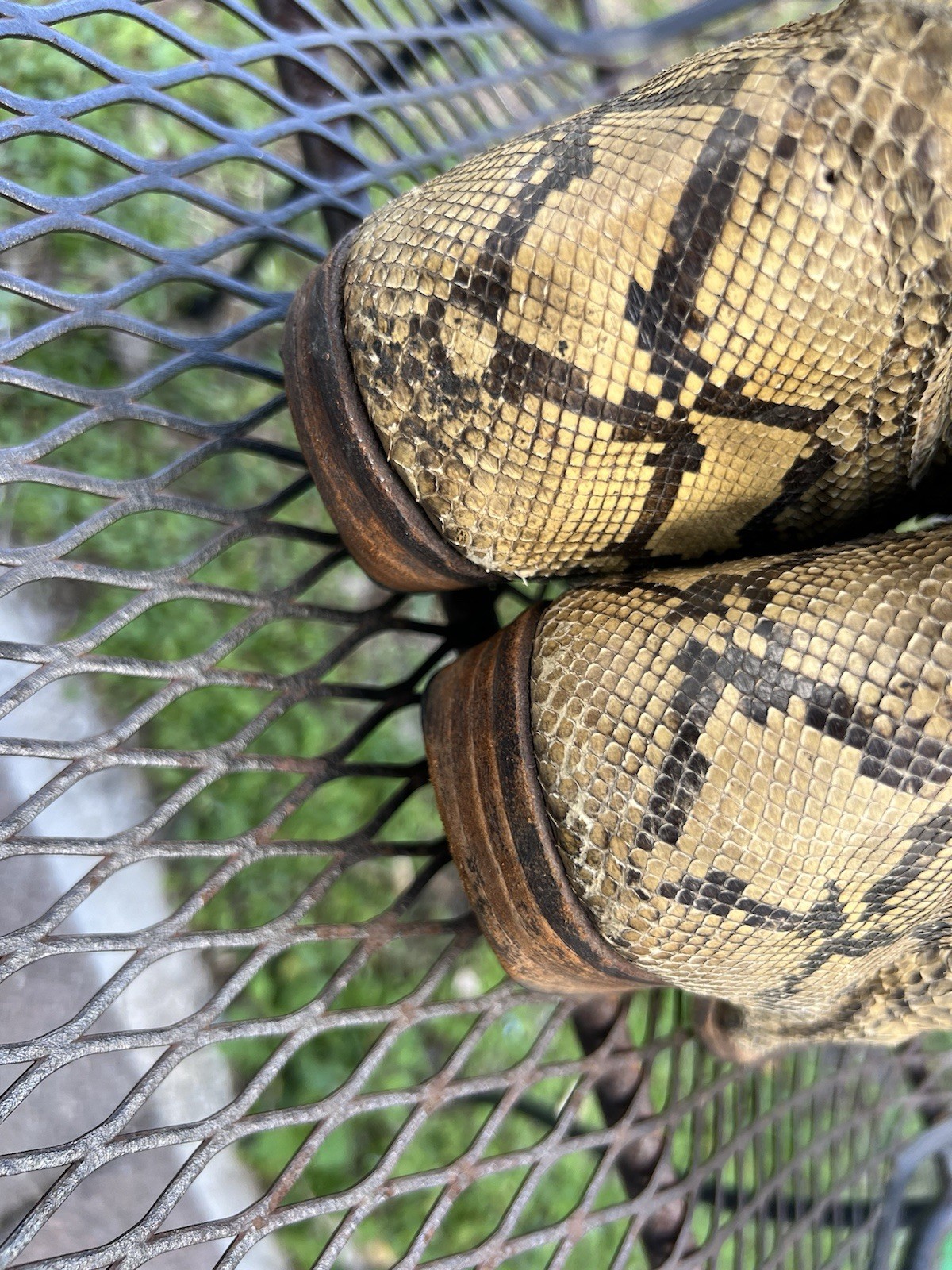 Full Natural Brown Genuine Snakeskin Python Men C… - image 7