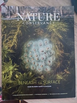 Nature Conservancy - Beneath the Surface - Sea Turtles - Summer 2021