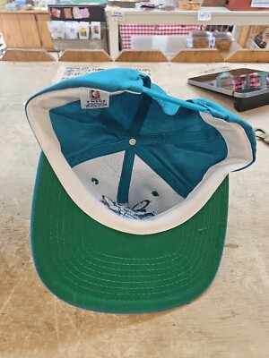 Vintage NBA Charlotte Hornets Snapback Hat Twins Enterprise Twill