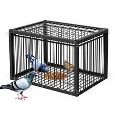 Pigeon Trap Cage Bird Traps for Small Birds with One-Way Entry Trapping for Q...