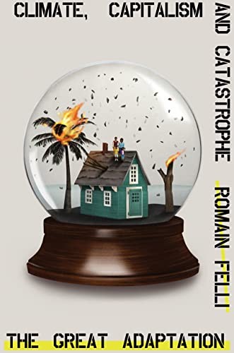 The Great Adaptation: Climate, Capitalism and Catastrophe,Romain