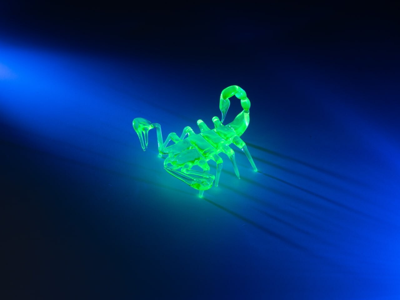 Picture 4 of 5