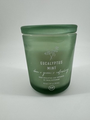 DW Home Candle 1- Wick Eucalyptus Mint Leaf 8.5oz 241g  Burn Time 33 Hours