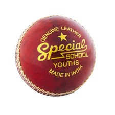 Leser Sonderschule Kricketball (Jugendliche)