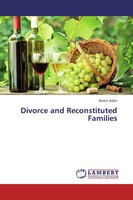 Aaron Adjei | Divorce And Reconstituted Families | Taschenbuch | Englisch (2013)