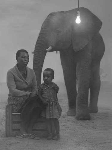 Neu versiegelt SIGNIERT Nick Brandt The Day May Break Climate Change Impacts Animals - Bild 3 von 5