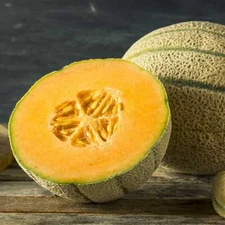 Honey Rock Melon Seeds, Cantaloupe, Sugar Rock, NON-GMO, FREE SHIPPING
