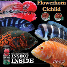 Flowerhorn Cichlid Food Vibrant Color Enhance Nature Protein Insect Inside Mix