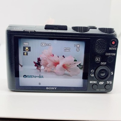 Sony Cyber-shot DSC-HX50V Digital Camera 20MP 30x Zoom GPS