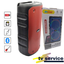 Cassa Bluetooth Altoparlante Karaoke con Luci RGB Radio FM Portatile
