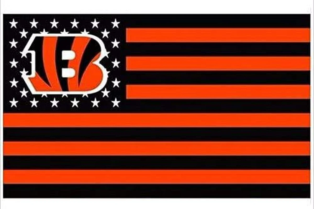 Banderín Cincinnati Bengals, Producto Oficial De La Nfl | Meses sin interés