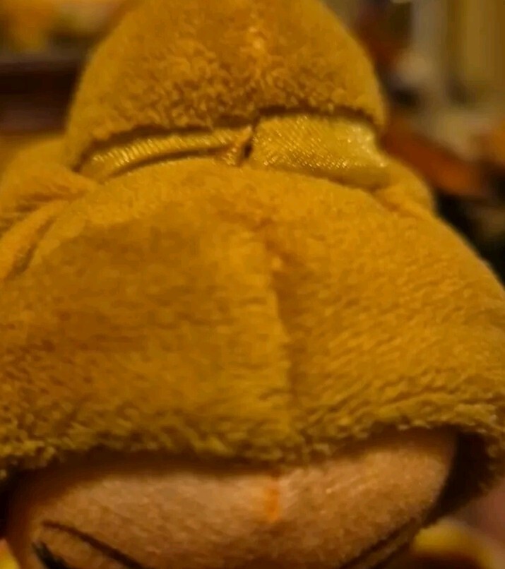 Picture 9 of 9