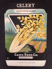 1930s Litho Antique Vintage Seed Packet Celery Golden Card Seed Co. Packs Mint