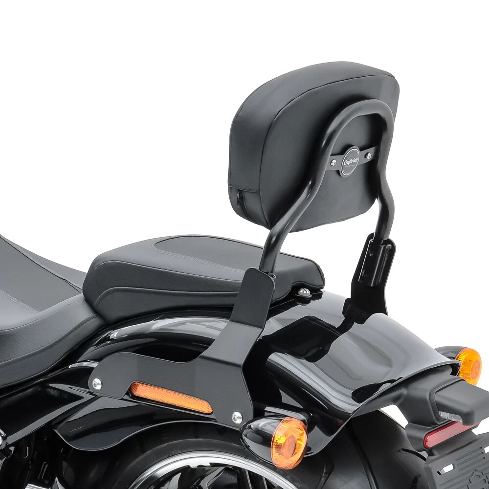 Custom sissy bar for on sale softail