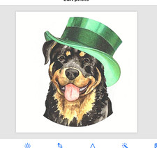 ROTTWEILER PERRO SOMBRERO IRLANDÉS SAN PATRICIO Colgante en Placa de Plata 925 20" 22" Collar