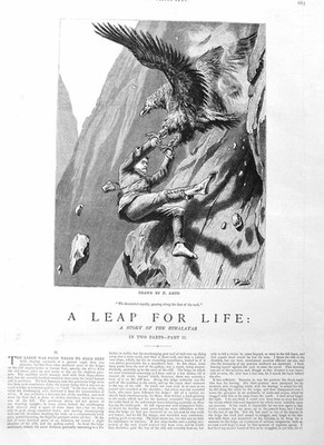 Alter antiker Druck 1885 Illustration Geschichte Leap Life Vogel Beute Angriff 19.
