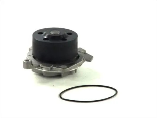 THERMOTEC D1D019TT Pompa acqua con guarnizione - Immagine 2